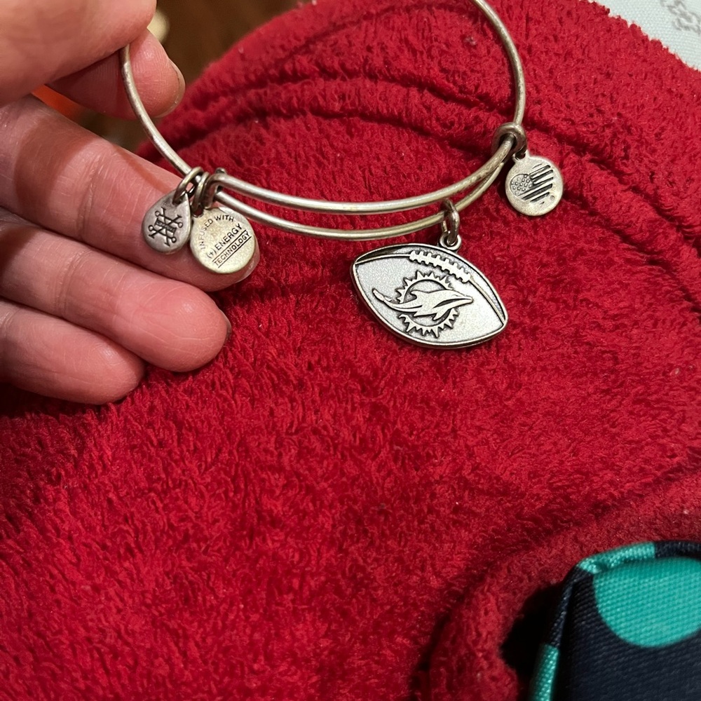 Alex and Ani Silver Charm Bracelet